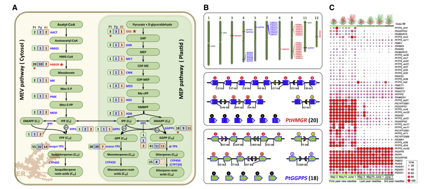 1658916791713444.png 4.png